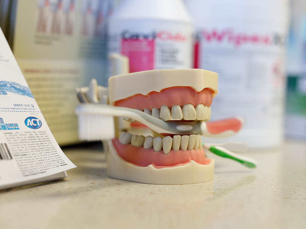 Photo of dental instruction tools.